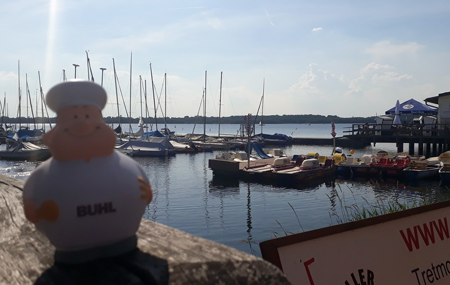 Bert im Leipziger Neuseenland