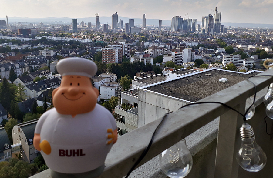 Bert vor der Frankfurter Skyline